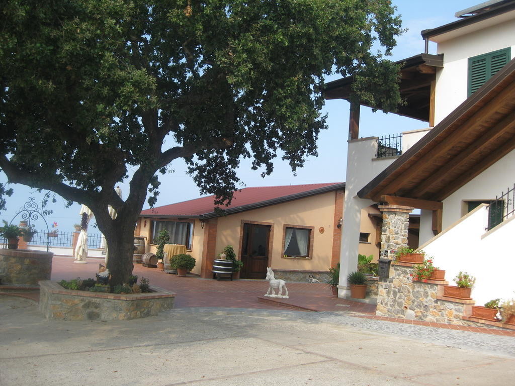 Agritursmo Montesalerno Villa Diamante Luaran gambar